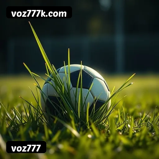 voz777 APP mobile iOS Android - 187 mil downloads São Paulo Rio BH